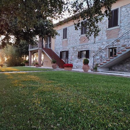 Agriturismo San Giorgino 그레세토 외부 사진