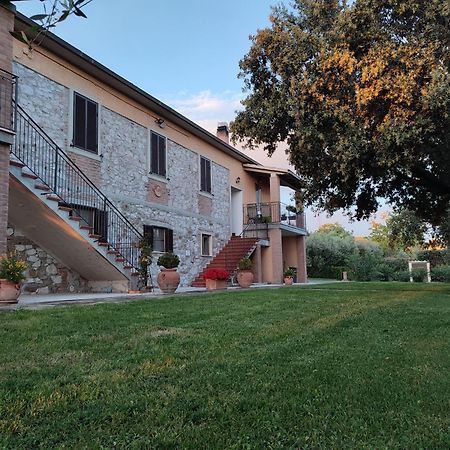 Agriturismo San Giorgino 그레세토 외부 사진