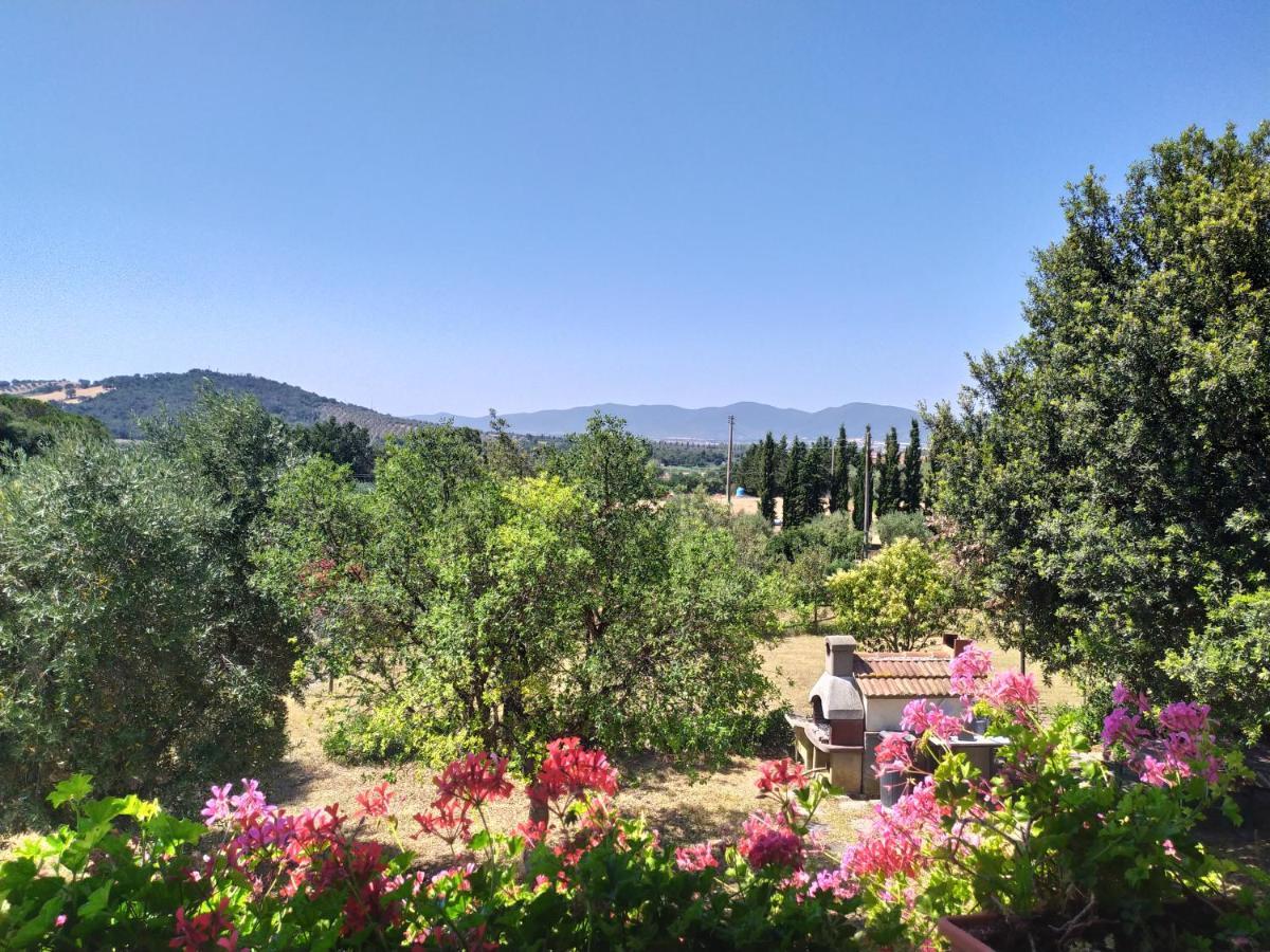 Agriturismo San Giorgino 그레세토 외부 사진