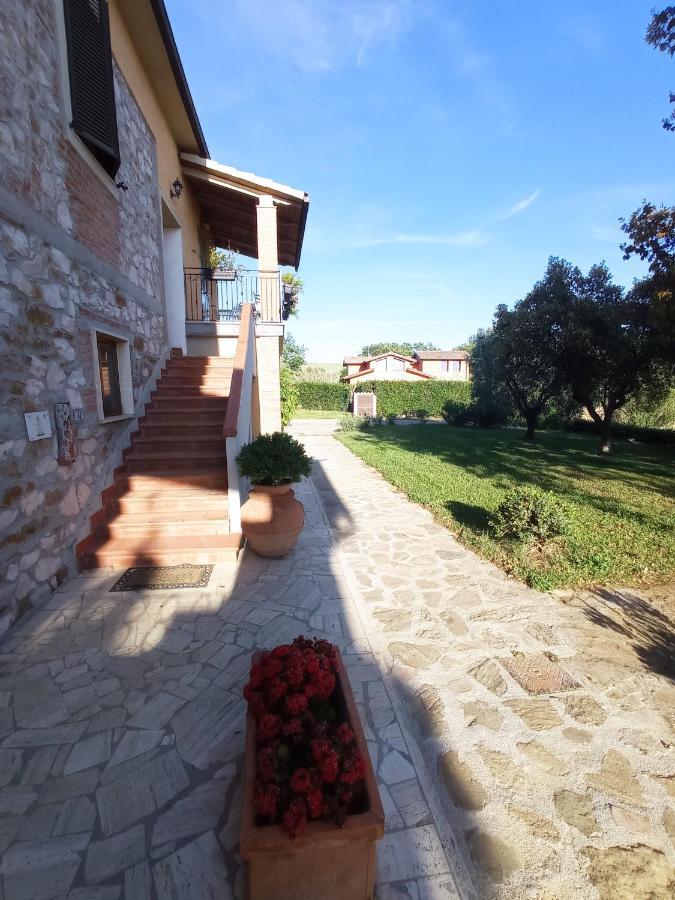 Agriturismo San Giorgino 그레세토 외부 사진