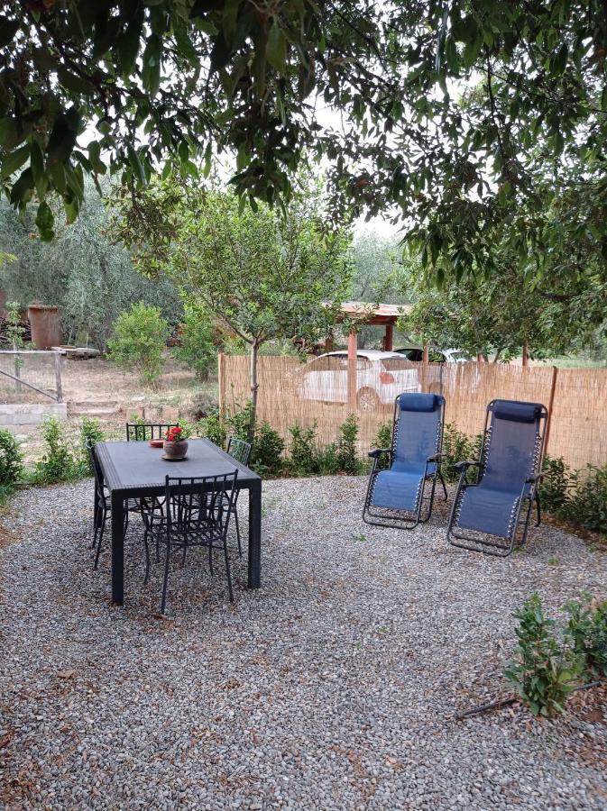 Agriturismo San Giorgino 그레세토 객실 사진
