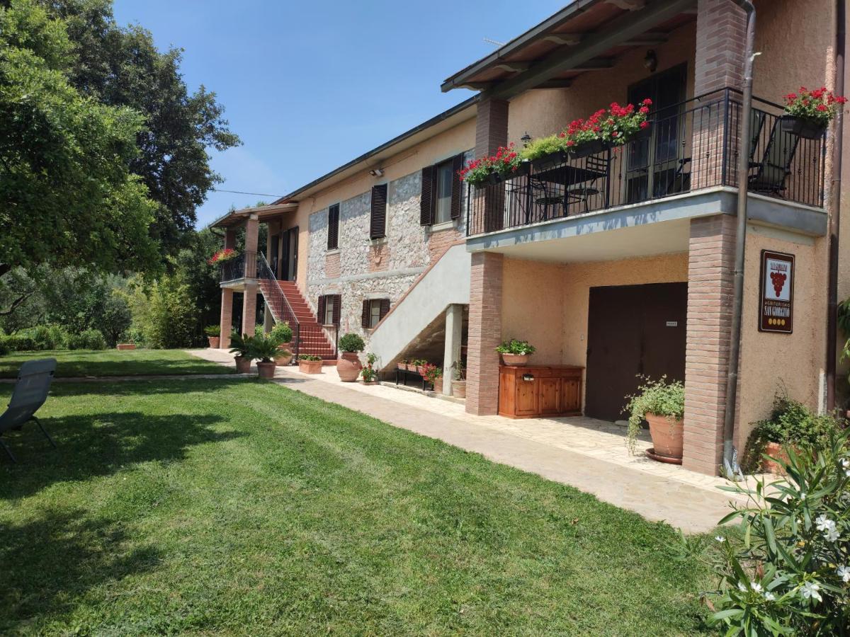 Agriturismo San Giorgino 그레세토 외부 사진