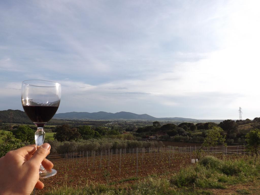 Agriturismo San Giorgino 그레세토 외부 사진