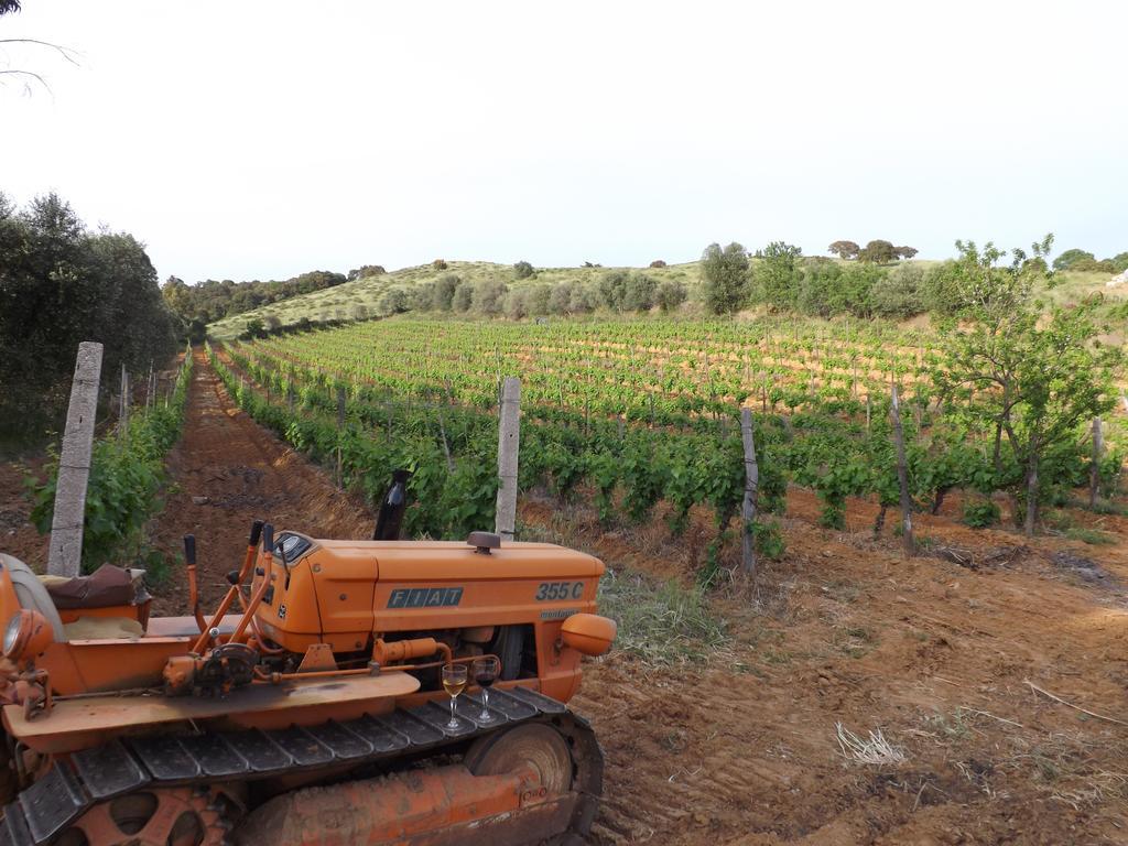 Agriturismo San Giorgino 그레세토 외부 사진